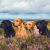 Gun Dog Breeders in Ireland